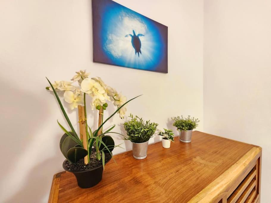Makao Apartamento La Macarena Seville